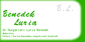 benedek luria business card